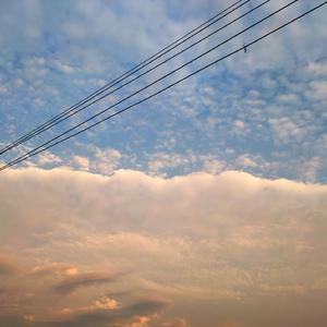 下载黄色性感交片
